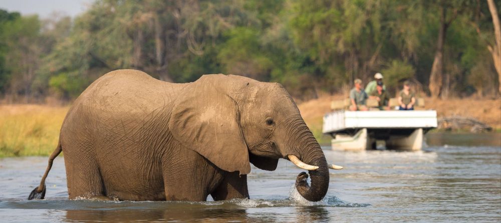 Ruckomechi Camp, Mana Pools National Park, Zimbabwe - Image 16