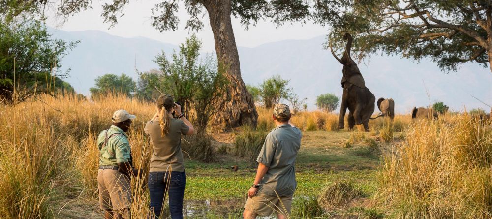 Ruckomechi Camp, Mana Pools National Park, Zimbabwe - Image 18