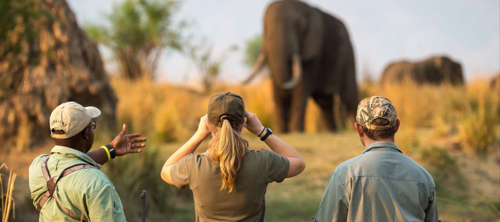 Ruckomechi Camp, Mana Pools National Park, Zimbabwe - Image 21