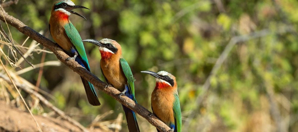 Fish River Lodge - Image 7