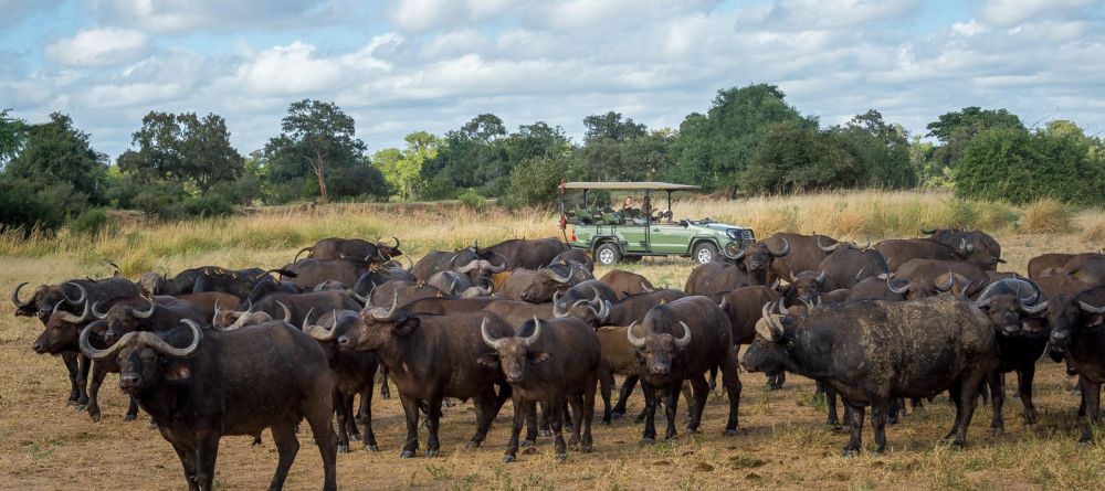 Ruckomechi Camp, Mana Pools National Park, Zimbabwe - Image 24