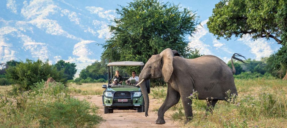 Ruckomechi Camp, Mana Pools National Park, Zimbabwe - Image 27