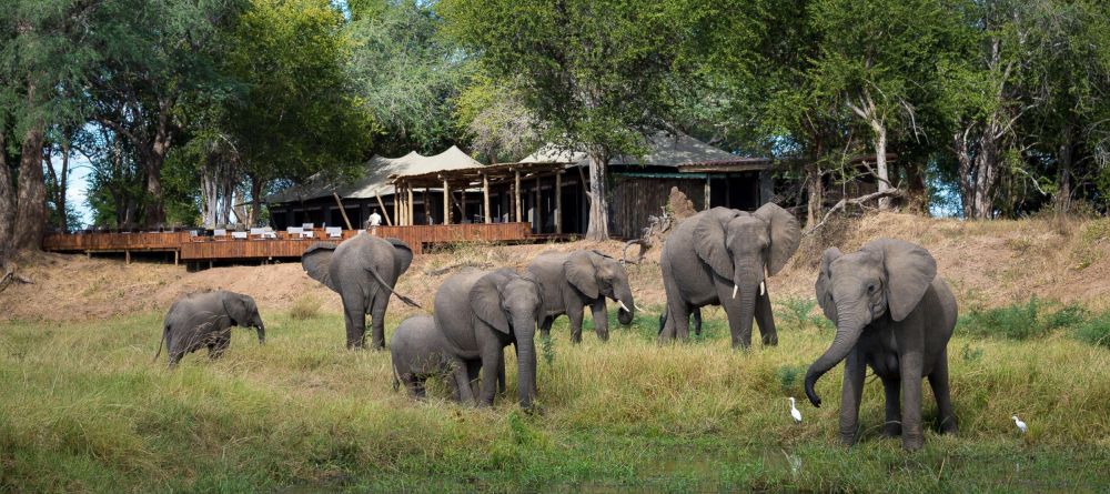 Ruckomechi Camp, Mana Pools National Park, Zimbabwe - Image 19