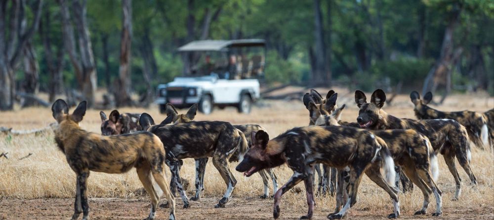 Ruckomechi Camp, Mana Pools National Park, Zimbabwe - Image 26