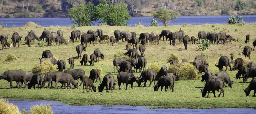 Ruckomechi Camp, Mana Pools National Park, Zimbabwe - Image 29