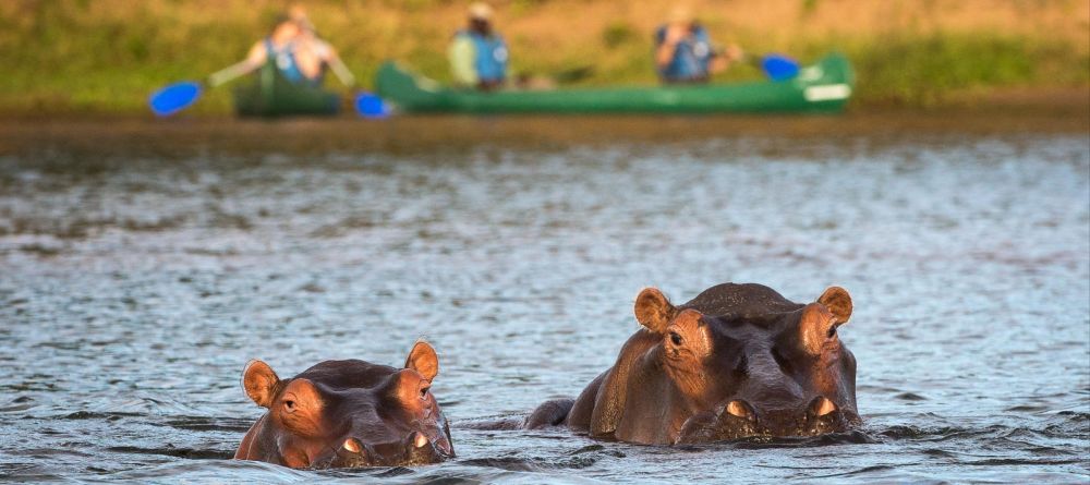 Ruckomechi Camp, Mana Pools National Park, Zimbabwe - Image 35