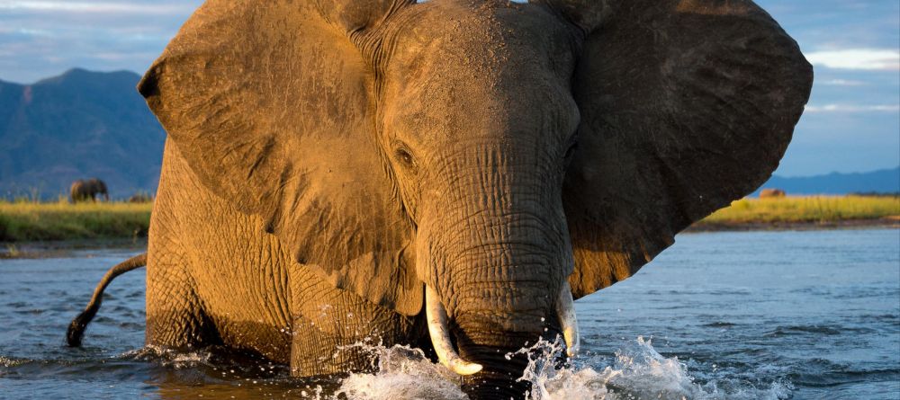 Ruckomechi Camp, Mana Pools National Park, Zimbabwe - Image 2