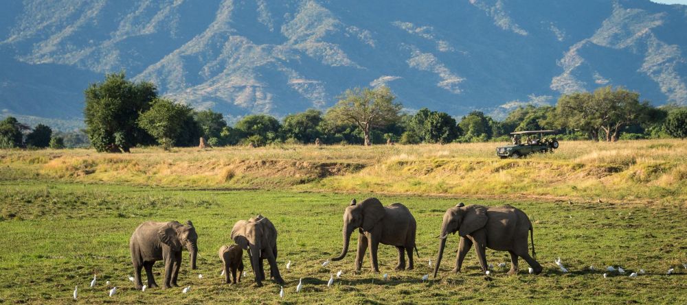 Ruckomechi Camp, Mana Pools National Park, Zimbabwe - Image 6