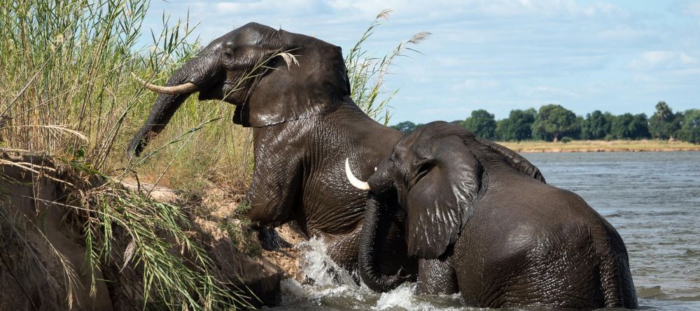 Ruckomechi Camp, Mana Pools National Park, Zimbabwe - Image 10