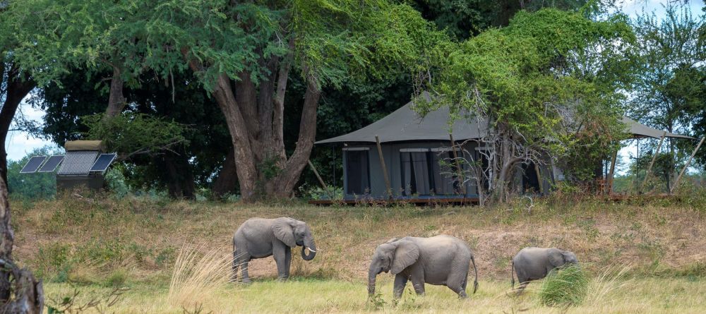 Ruckomechi Camp, Mana Pools National Park, Zimbabwe - Image 7