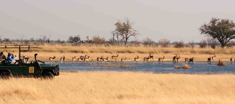 Game drive at Xakanaxa Camp, Moremi Game Reserve, Botswana (Russell Gammon) - Image 10