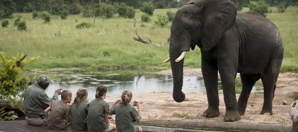 Elephant in Camp - Image 8