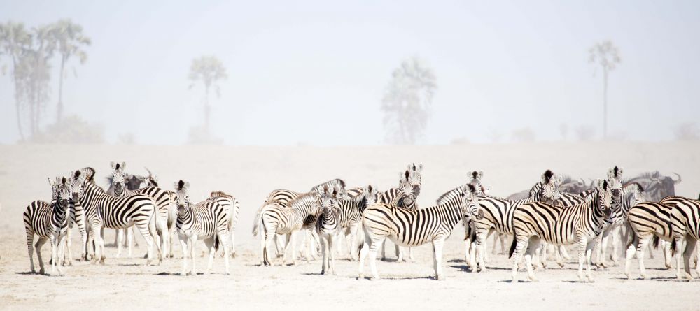 San Camp, Kalahari Desert, Botswana - Image 9