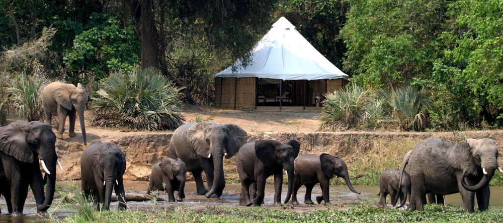 Sausage Tree Camp, Lower Zambezi National Park, Zambia - Image 2