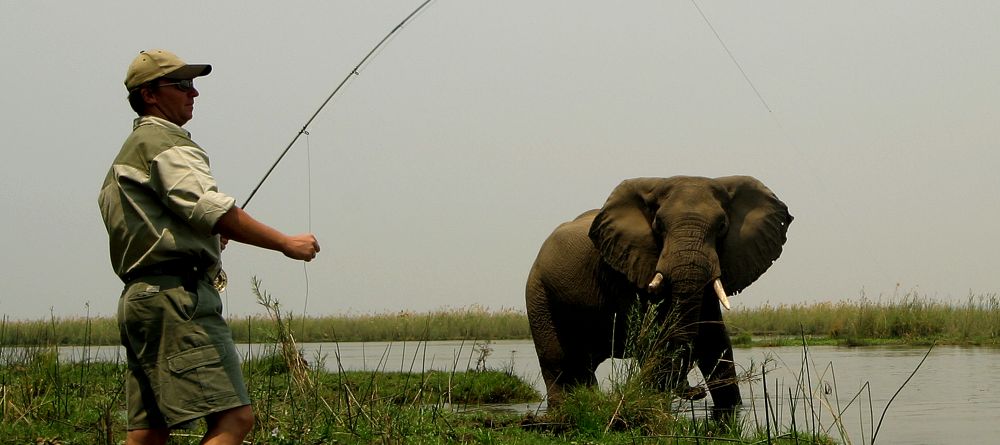 Sausage Tree Camp, Lower Zambezi National Park, Zambia - Image 4