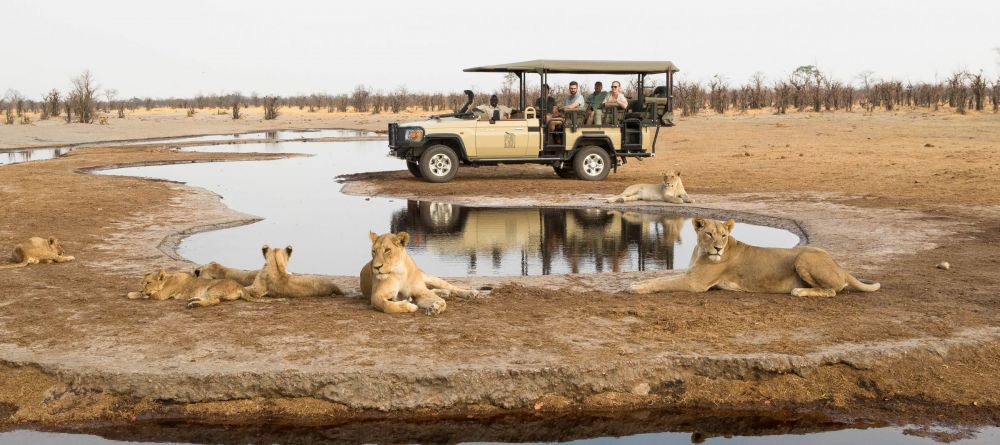 Game drive - Image 1