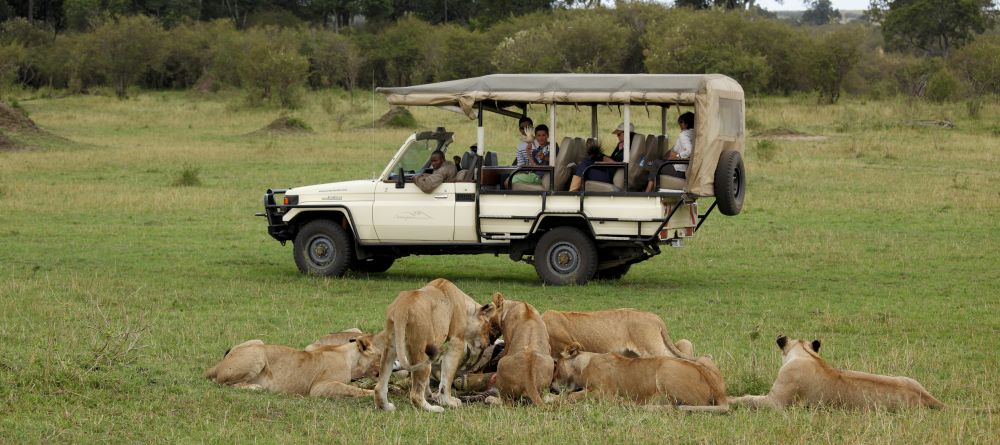 A game drive watches as lions feedr at Serengeti Bushtops Camp, Serengeti National Park, Tanzania - Image 15