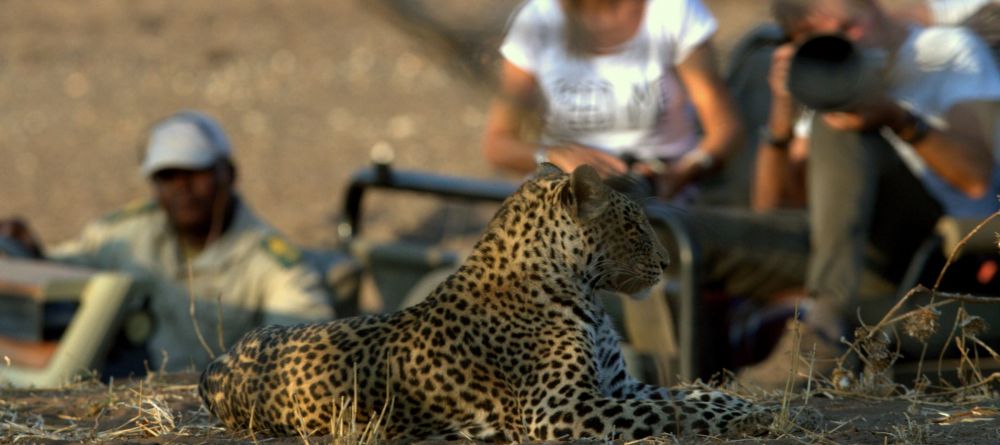 Mashatu Lodge, Mashatu Game Reserve, Botswana - Image 31