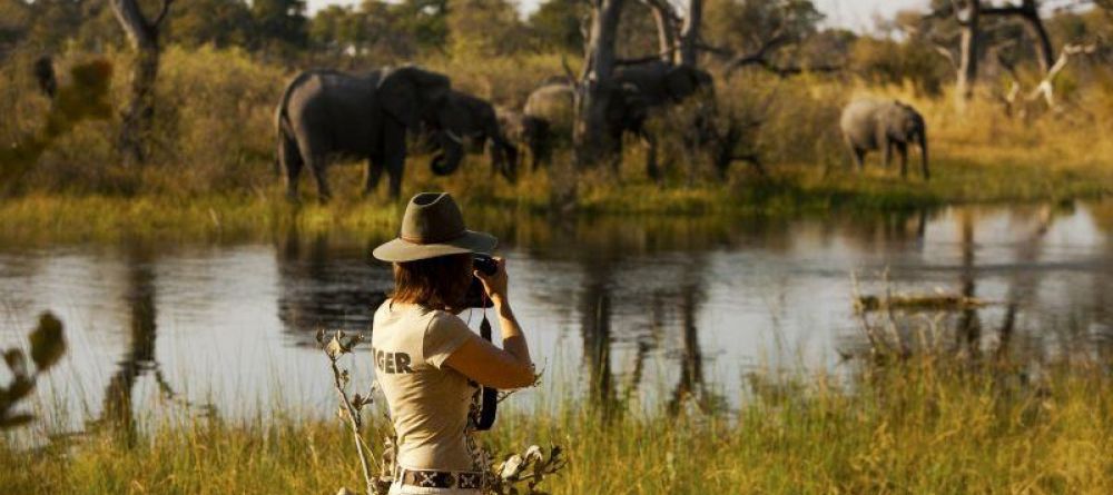 Selinda Explorers Camp - Image 1