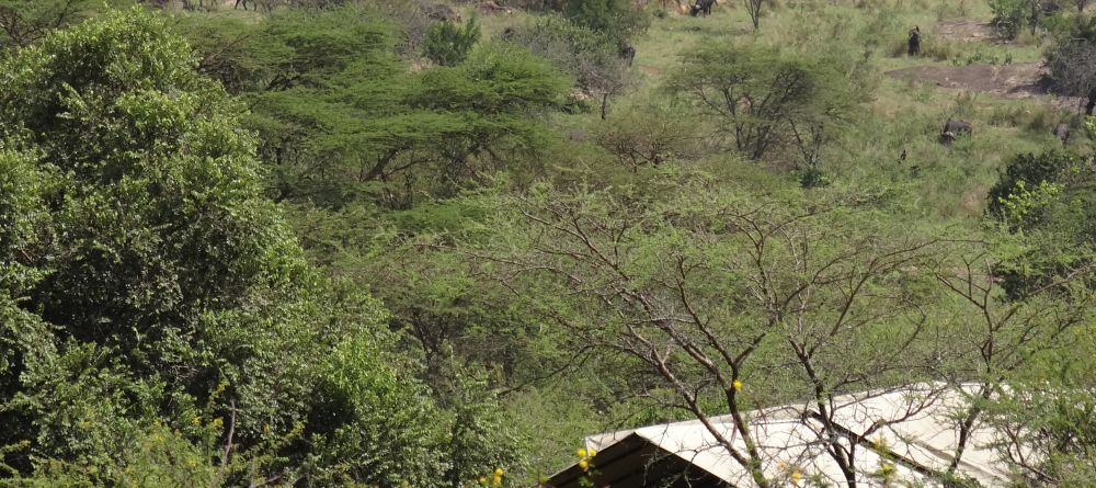 Serengeti Migration Camp, Serengeti National Park, Tanzania - Image 14