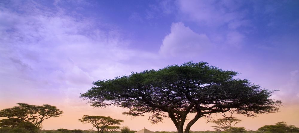 Serengeti Under Canvas, Serengeti National Park, Tanzania Â© AndBeyond - Image 7