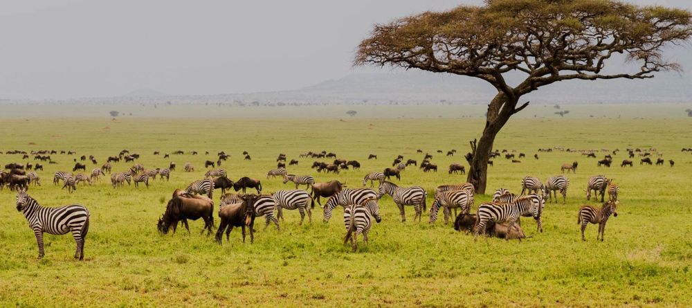 Songa Tented Camp - Image 5