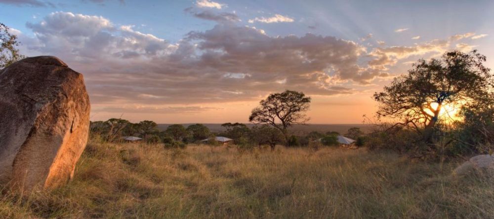 Mara Bushtops, Masai Mara Game Reserve, Kenya - Image 2