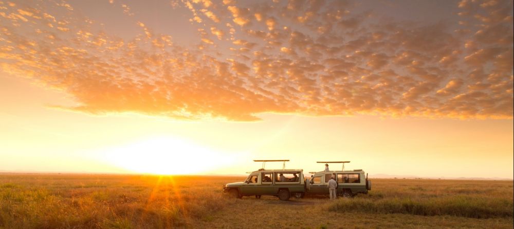 Serengeti Safari Camp - Drive - Image 9