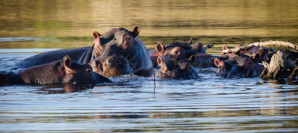 Simbavati River Lodge, Timbavati Game Reserve, South Africa - Image 1