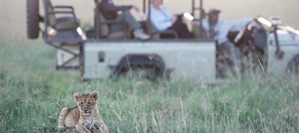 Singita Kwitonda Lodge - Image 2