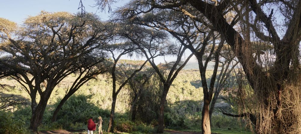 Sanctuary Ngorongoro Crater Camp - Image 9