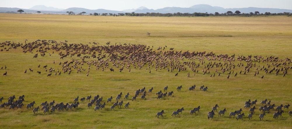 Bear witness to the world famous wildebeest migration at Singita Sasakwa Lodge, Grumeti Reserves, Tanzania - Image 13