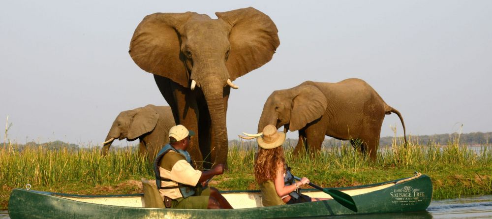 Elephants canoeing - Image 1