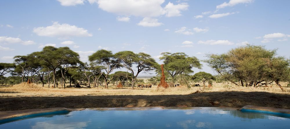 Swala Camp, Tarangire National Park, Tanzania - Image 8