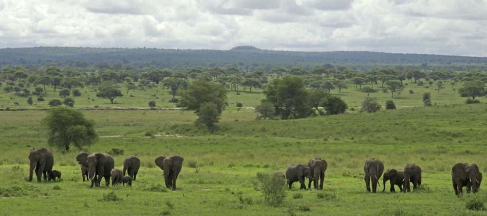 Swala Camp, Tarangire National Park, Tanzania - Image 1