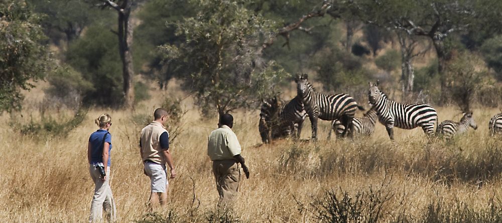 Swala Camp, Tarangire National Park, Tanzania - Image 3