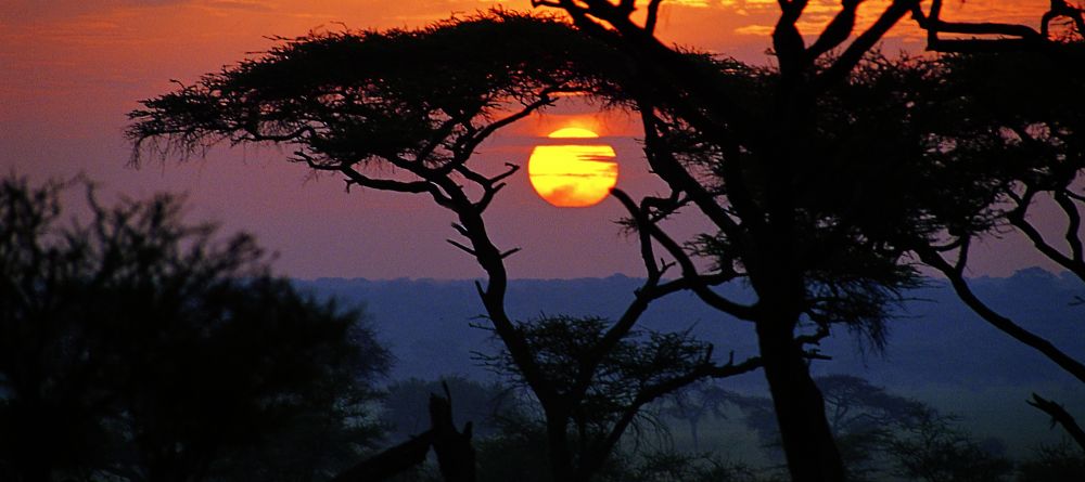 Swala Camp, Tarangire National Park, Tanzania - Image 4