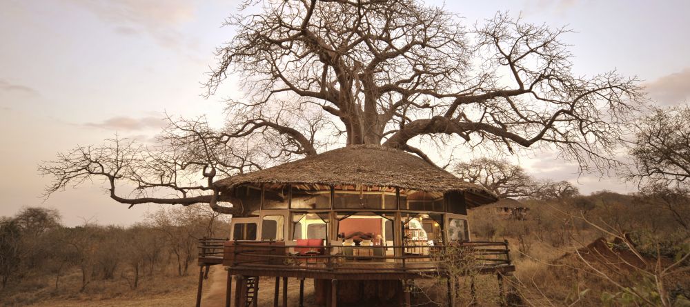 Tarangire Treetops, Tarangire National Park, Tanzania  Â© AndBeyond - Image 4