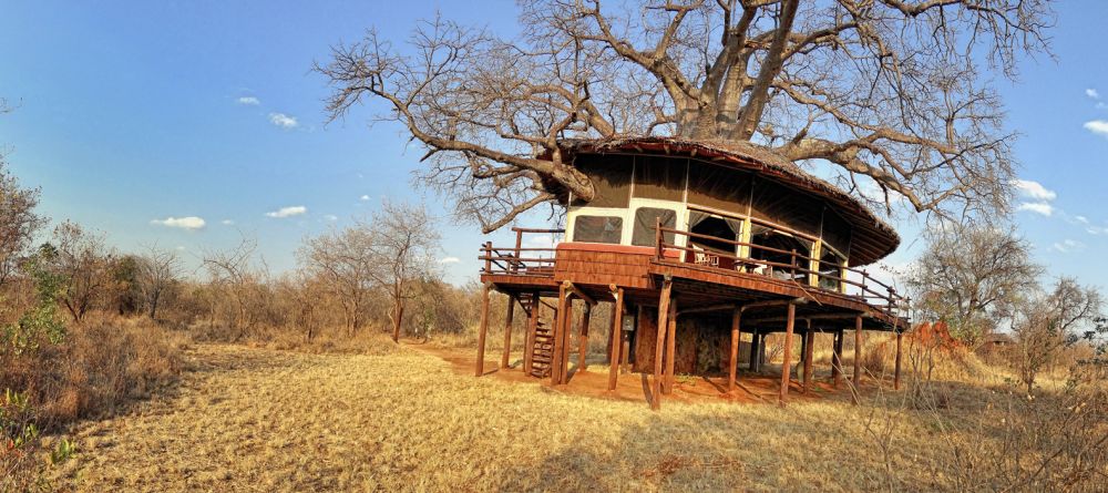 Tarangire Treetops, Tarangire National Park, Tanzania  Â© AndBeyond - Image 5