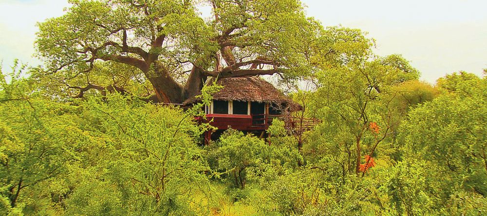 Tarangire Treetops, Tarangire National Park, Tanzania  Â© AndBeyond - Image 6