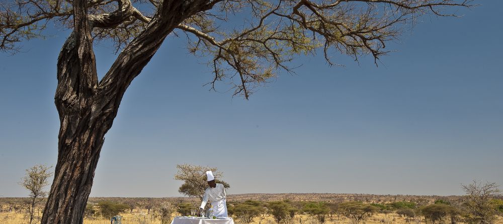 Tarangire Treetops, Tarangire National Park, Tanzania  Â© AndBeyond - Image 8