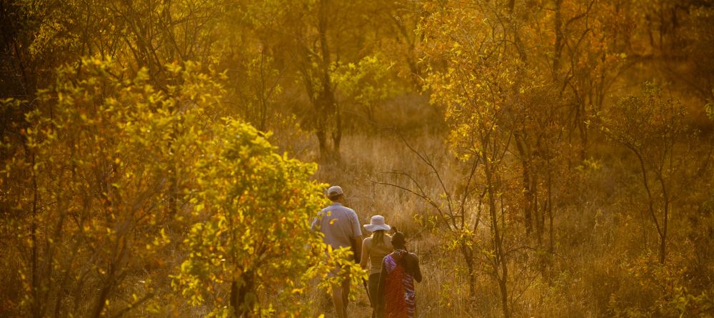 Tarangire Treetops, Tarangire National Park, Tanzania  Â© AndBeyond - Image 9