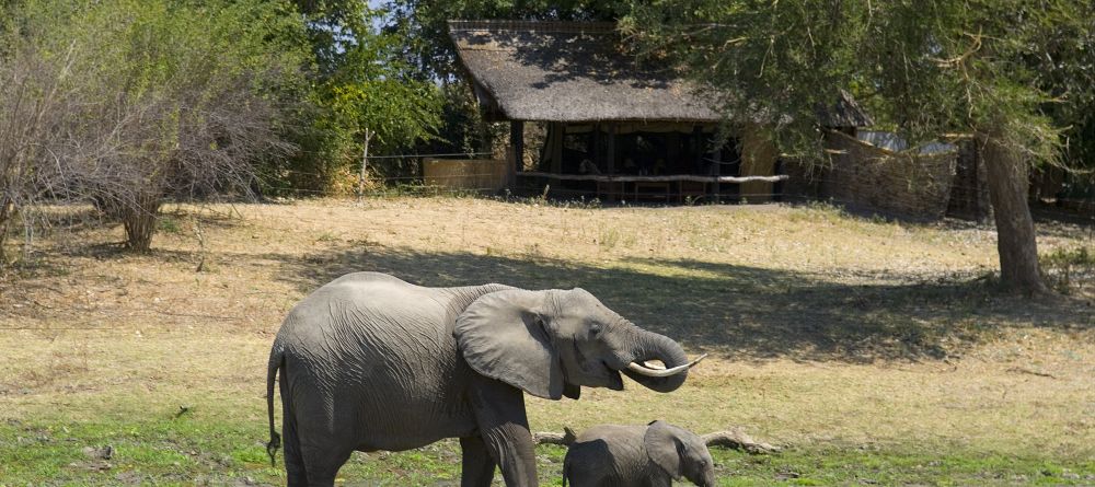 Tena Tena Camp, South Luangwa National Park, Zamiba - Image 7