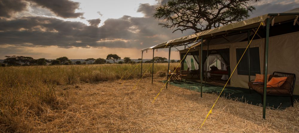 Tarangire Ndovu Camp - Image 2