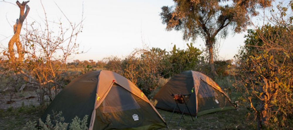 Tents at Selinda Canoe Trail, Linyati Wetlands, Botswana (Wilderness Safaris) - Image 9