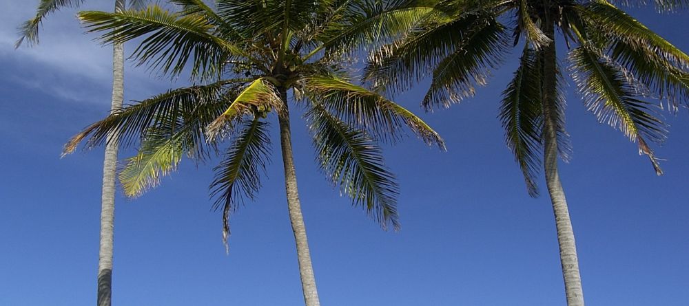 The Palms, Zanzibar, Tanzania - Image 14