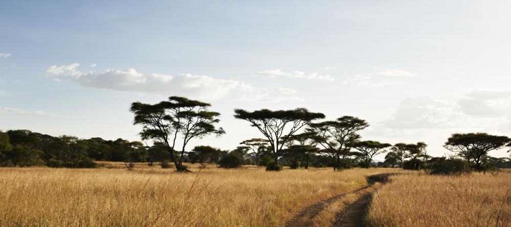 The plains at Faru Faru River Lodge, Grumeti Private Reserve, Tanzania - Image 10