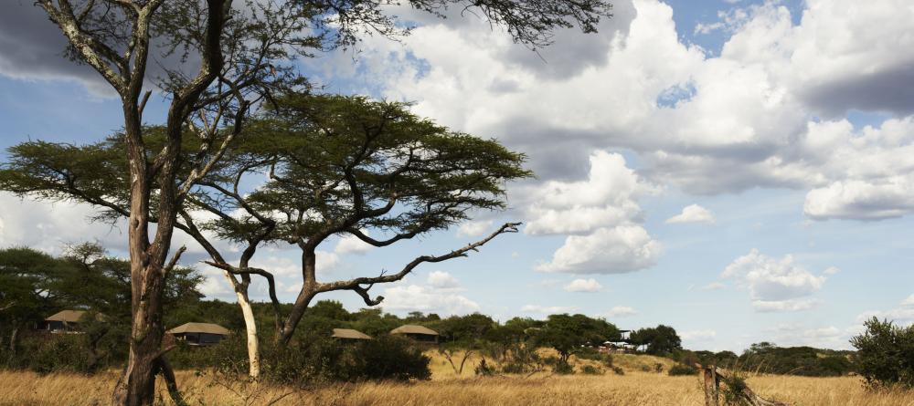 The plains at Faru Faru River Lodge, Grumeti Private Reserve, Tanzania - Image 11