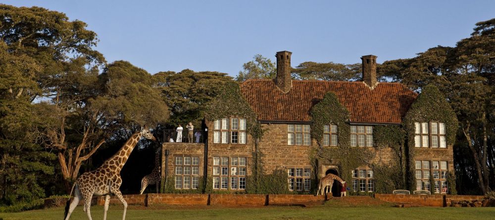 The usual day at Giraffe Manor, Nairobi, Kenya - Image 5