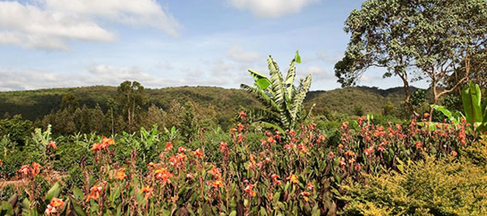 Tloma Lodge - Image 1